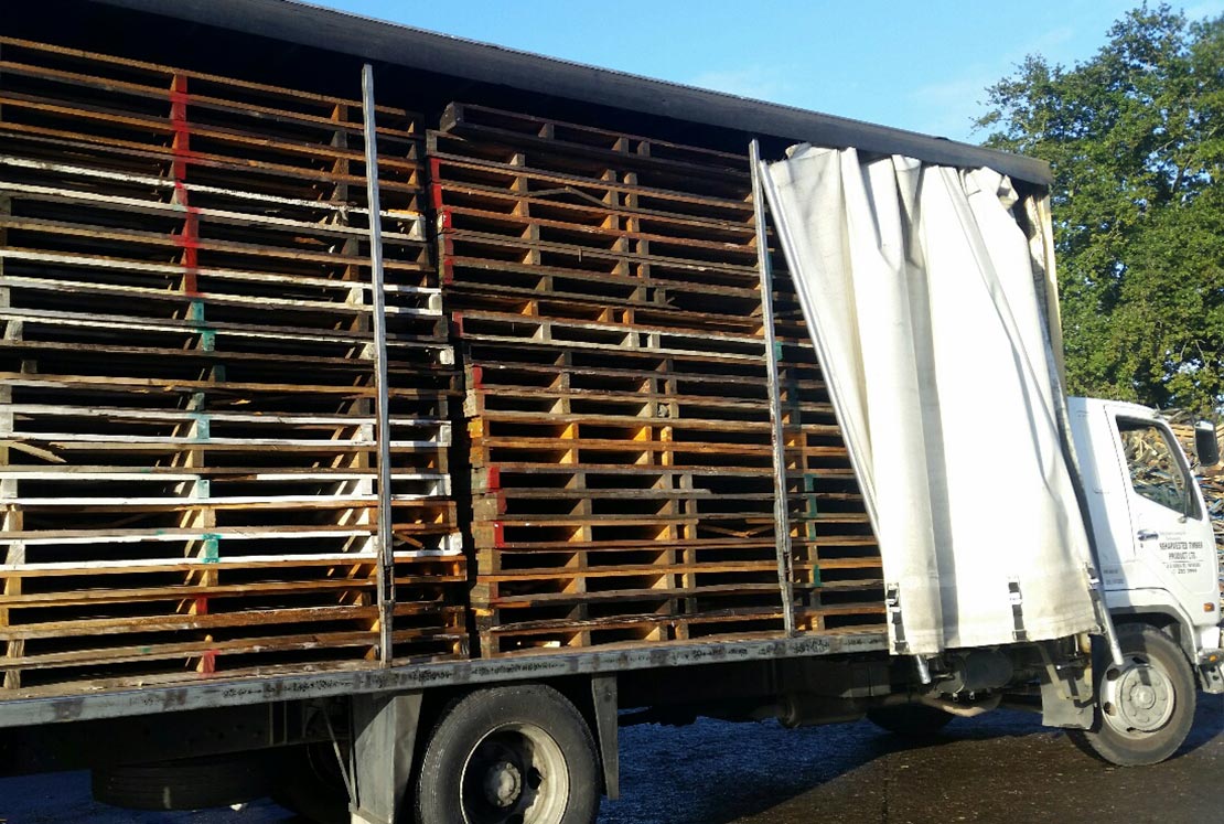 Waste Wood Pallets Removal and Recycling